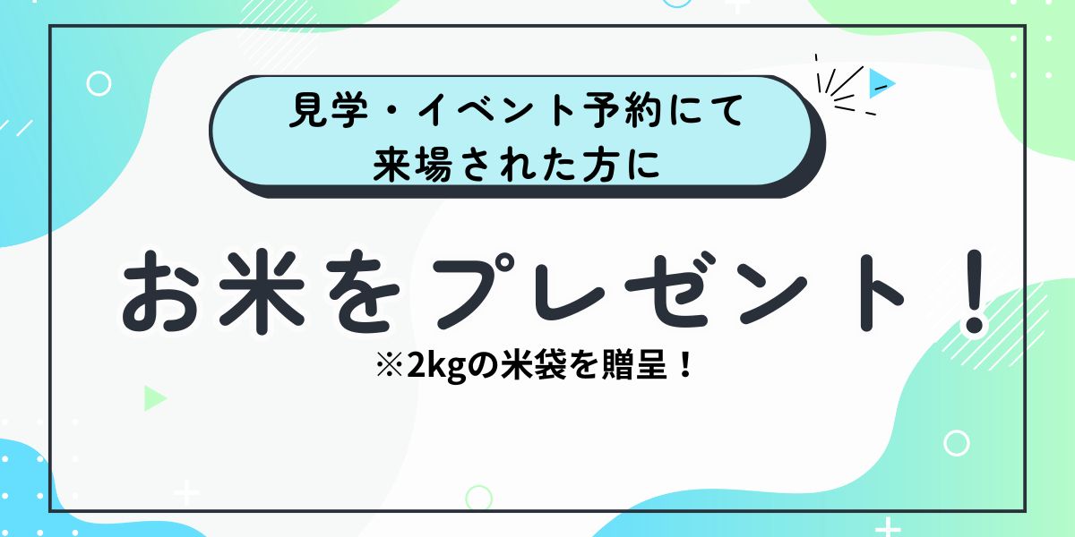 今だけお米プレゼント